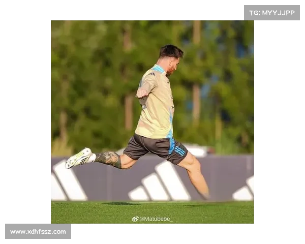 扑点球的决胜时刻：守门员如何通过观察与直觉做出精准判断